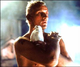 Roy batty (Rutger hauer) in BLADE RUNNER
© Warner Bros. Pictures Germany